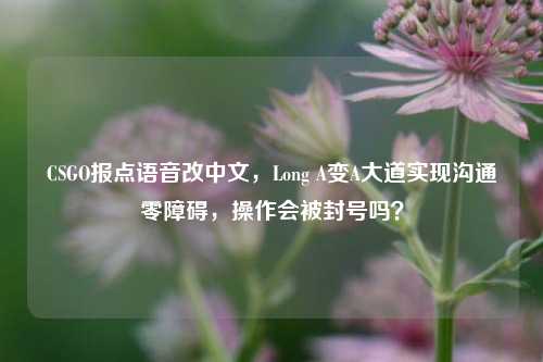 CSGO报点语音改中文,Long A变A大道实现沟通零障碍,操作会被封号吗?