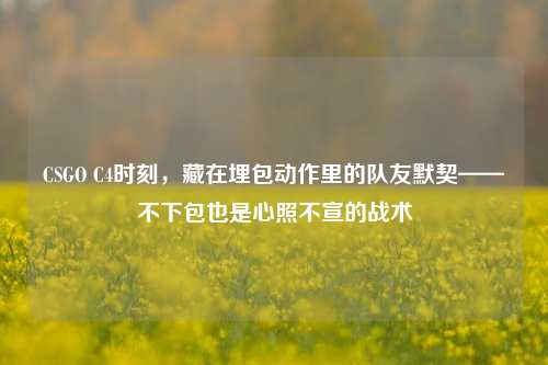 CSGO C4时刻,藏在埋包动作里的队友默契——不下包也是心照不宣的战术