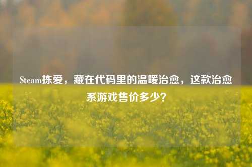 Steam拣爱，藏在代码里的温暖治愈，这款治愈系游戏售价多少？
