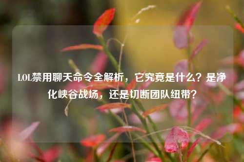 LOL禁用聊天命令全解析,它究竟是什么?是净化峡谷战场,还是切断团队纽带?
