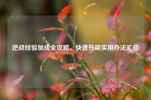 逆战经验加成全攻略,快速升级实用办法汇总