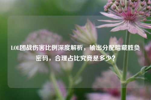 LOL团战伤害比例深度解析,输出分配暗藏胜负密码,合理占比究竟是多少?