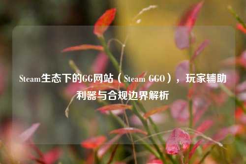 Steam生态下的GG网站(Steam GGO),玩家辅助利器与合规边界解析