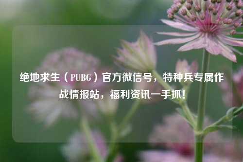 绝地求生(PUBG)官方微信号,特种兵专属作战情报站,福利资讯一手抓!