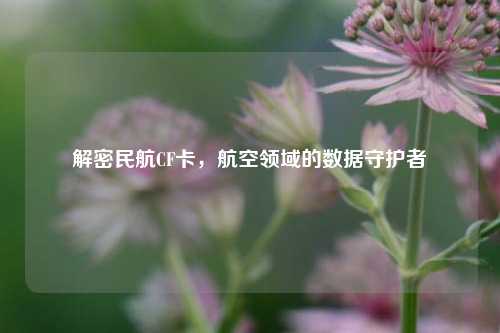 解密民航CF卡,航空领域的数据守护者