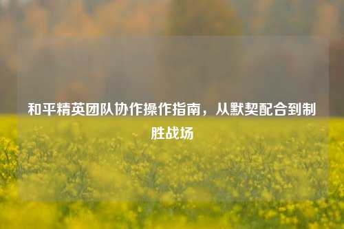 和平精英团队协作操作指南，从默契配合到制胜战场