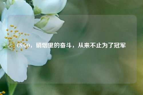 CS:GO，硝烟里的奋斗，从来不止为了冠军