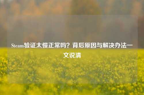Steam验证太慢正常吗?背后原因与解决办法一文说清