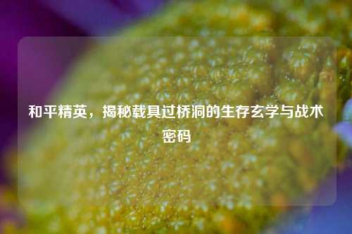 和平精英,揭秘载具过桥洞的生存玄学与战术密码