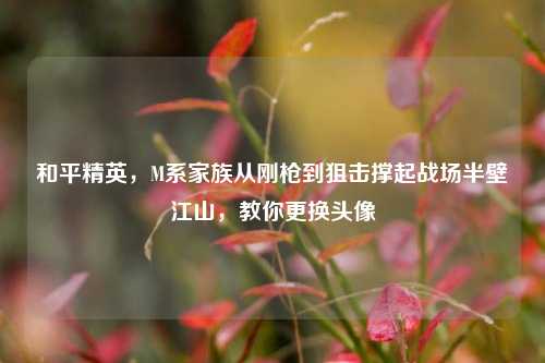 和平精英,M系家族从刚枪到狙击撑起战场半壁江山,教你更换头像