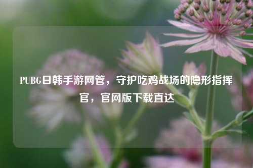 PUBG日韩手游网管,守护吃鸡战场的隐形指挥官,官网版下载直达