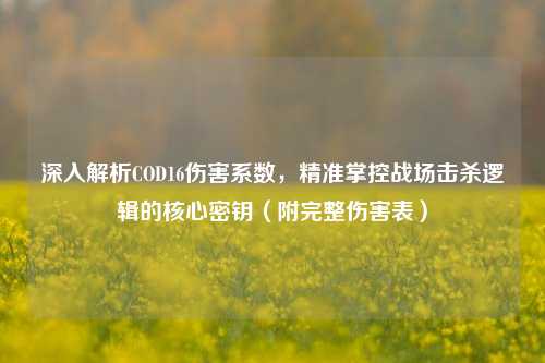 深入解析COD16伤害系数,精准掌控战场击杀逻辑的核心密钥(附完整伤害表)