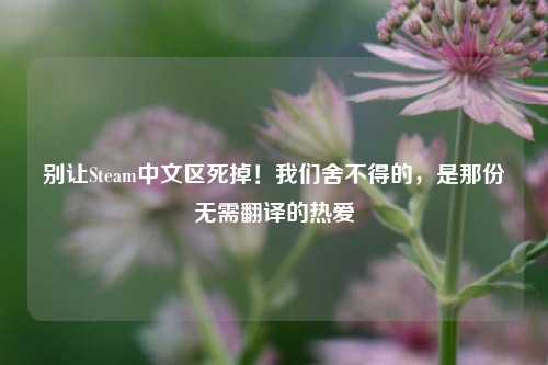 别让Steam中文区死掉!我们舍不得的,是那份无需翻译的热爱