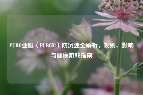 PUBG亚服(PUBGM)防沉迷全解析,规则、影响与健康游戏指南