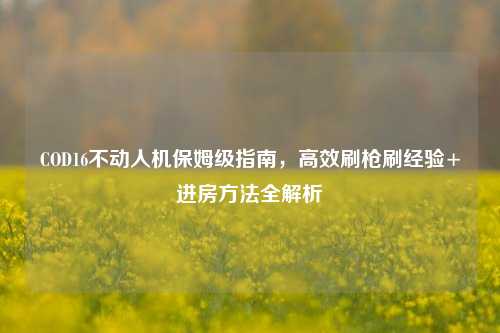 COD16不动人机保姆级指南,高效刷枪刷经验+进房方法全解析