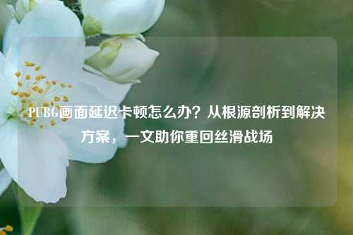PUBG画面延迟卡顿怎么办?从根源剖析到解决方案,一文助你重回丝滑战场
