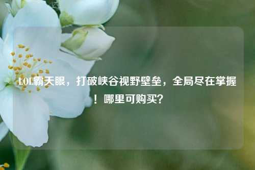 LOL霸天眼,打破峡谷视野壁垒,全局尽在掌握!哪里可购买?