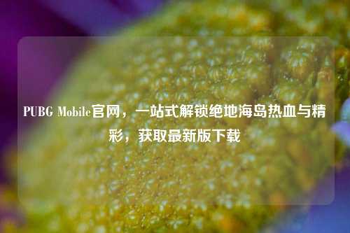 PUBG Mobile官网,一站式解锁绝地海岛热血与精彩,获取最新版下载