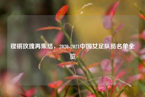 铿锵玫瑰再集结,2020-2021中国女足队员名单全览