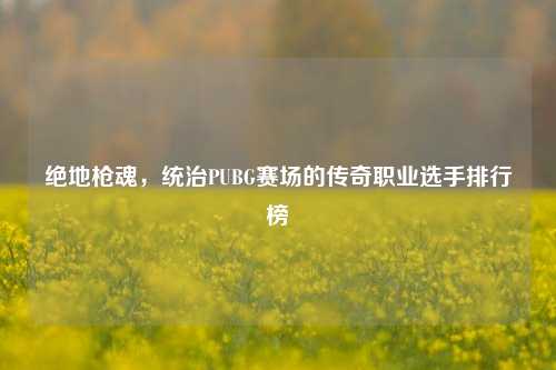 绝地枪魂,统治PUBG赛场的传奇职业选手排行榜