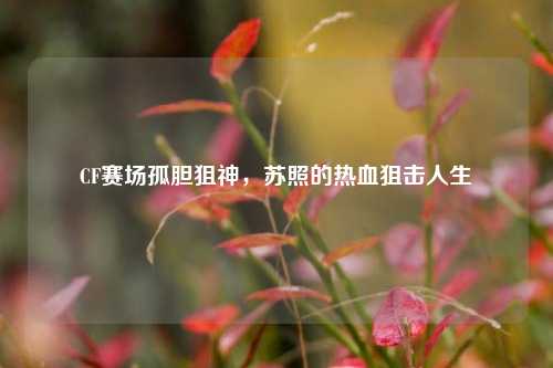 CF赛场孤胆狙神,苏照的热血狙击人生