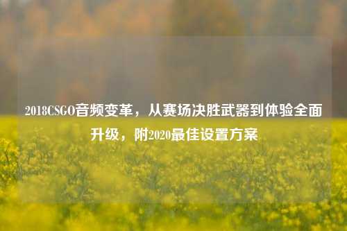 2018CSGO音频变革,从赛场决胜武器到体验全面升级,附2020最佳设置方案