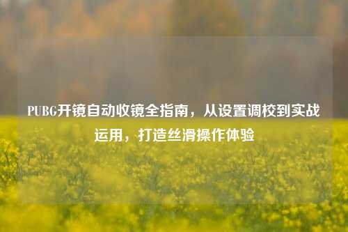 PUBG开镜自动收镜全指南,从设置调校到实战运用,打造丝滑操作体验