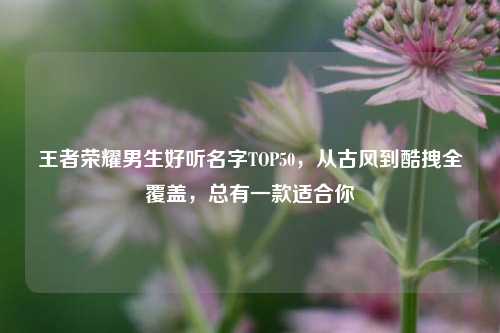 王者荣耀男生好听名字TOP50，从古风到酷拽全覆盖，总有一款适合你