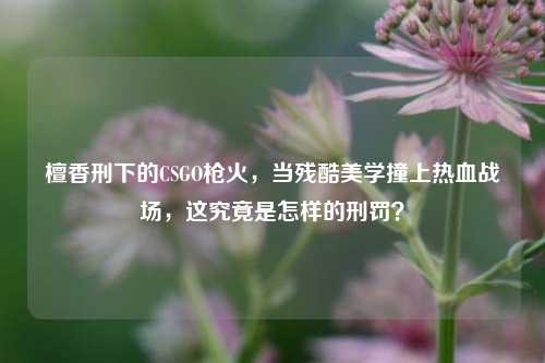 檀香刑下的CSGO枪火,当残酷美学撞上热血战场,这究竟是怎样的刑罚?