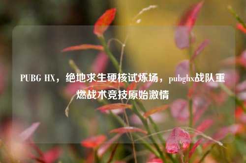 PUBG HX,绝地求生硬核试炼场,pubghx战队重燃战术竞技原始激情
