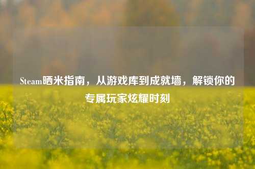 Steam晒米指南,从游戏库到成就墙,解锁你的专属玩家炫耀时刻