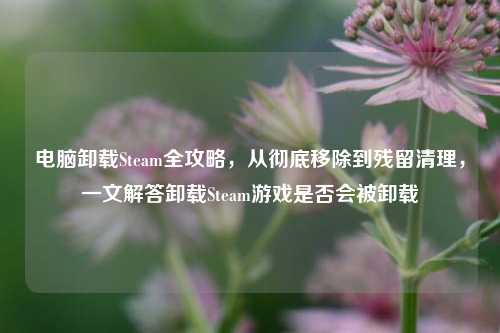 电脑卸载Steam全攻略,从彻底移除到残留清理,一文解答卸载Steam游戏是否会被卸载