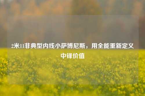 2米11非典型内线小萨博尼斯,用全能重新定义中锋价值