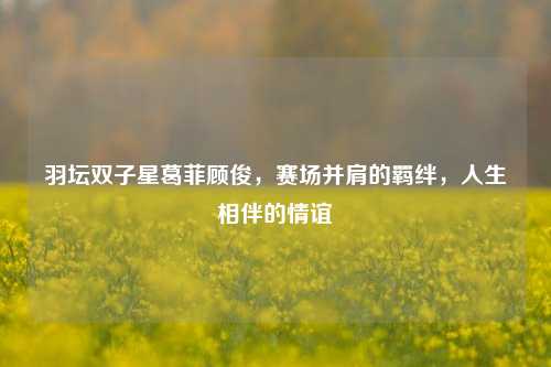 羽坛双子星葛菲顾俊，赛场并肩的羁绊，人生相伴的情谊