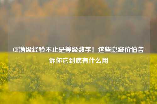 CF满级经验不止是等级数字!这些隐藏价值告诉你它到底有什么用