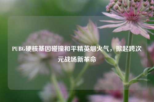 PUBG硬核基因碰撞和平精英烟火气,掀起跨次元战场新革命