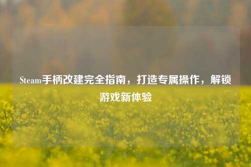 Steam手柄改建完全指南,打造专属操作,解锁游戏新体验