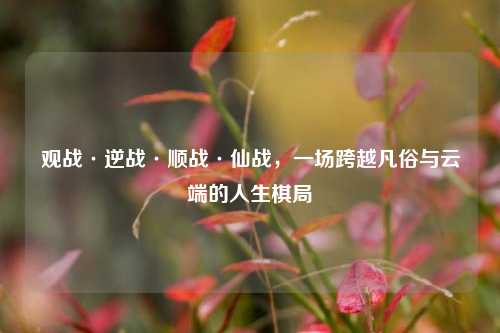 观战·逆战·顺战·仙战，一场跨越凡俗与云端的人生棋局