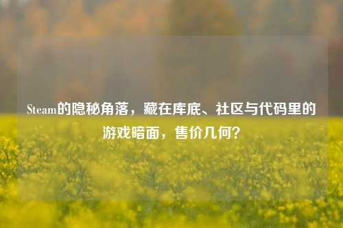 Steam的隐秘角落,藏在库底、社区与代码里的游戏暗面,售价几何?
