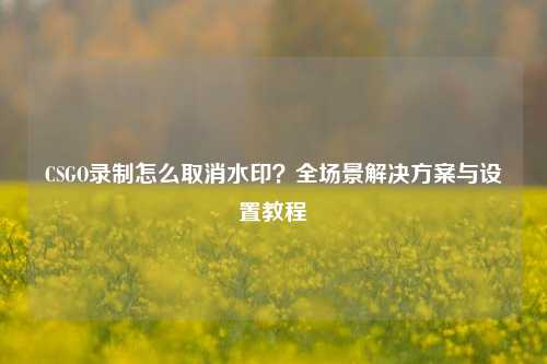 CSGO录制怎么取消水印?全场景解决方案与设置教程
