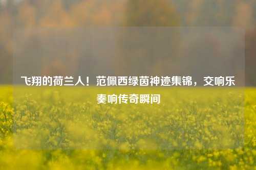 飞翔的荷兰人！范佩西绿茵神迹集锦，交响乐奏响传奇瞬间