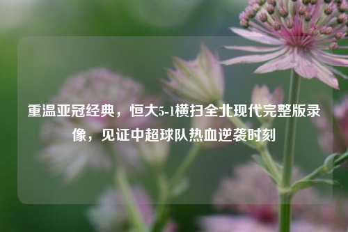 重温亚冠经典,恒大5-1横扫全北现代完整版录像,见证中超球队热血逆袭时刻