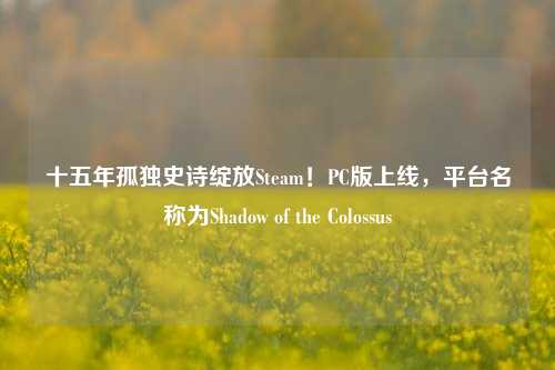 十五年孤独史诗绽放Steam!PC版上线,平台名称为Shadow of the Colossus