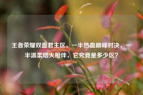 王者荣耀双面君主区,一半热血巅峰对决,一半温柔烟火相伴,它究竟是多少区?