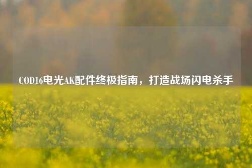 COD16电光AK配件终极指南,打造战场闪电杀手