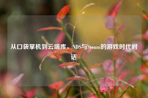 从口袋掌机到云端库,NDS与Steam的游戏时代对话