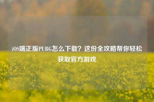 iOS端正版PUBG怎么下载?这份全攻略帮你轻松获取官方游戏