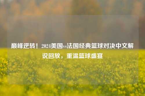 巅峰逆转!2024美国vs法国经典篮球对决中文解说回放,重温篮球盛宴