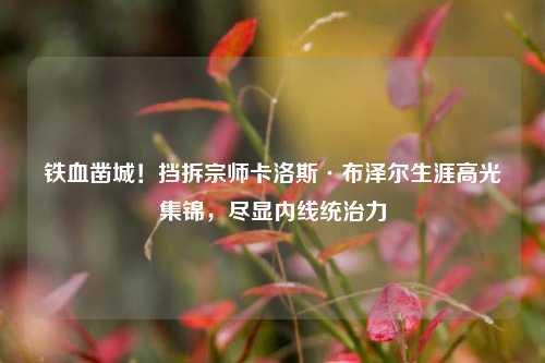 铁血凿城！挡拆宗师卡洛斯·布泽尔生涯高光集锦，尽显内线统治力