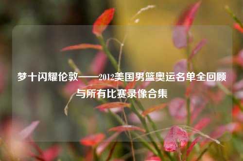 梦十闪耀伦敦——2012美国男篮奥运名单全回顾与所有比赛录像合集